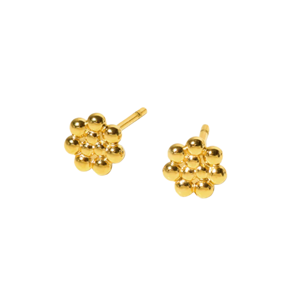 Boucles d'oreilles élégantes en forme de fleur