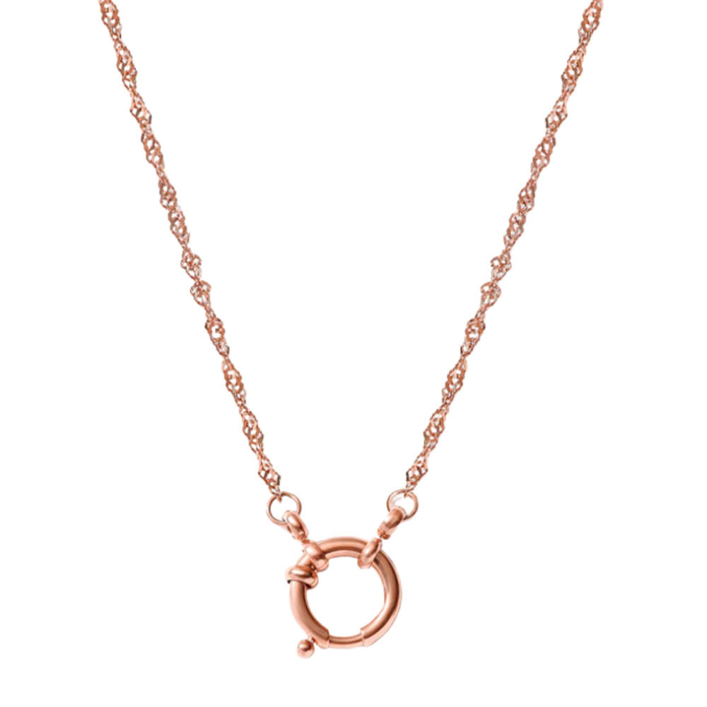 Collier à chaîne spirale ajustable en acier inoxydable plaqué or jaune 18 carats
